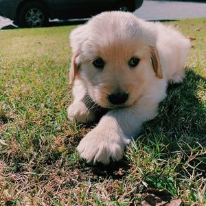 Meet your Posher, Zach